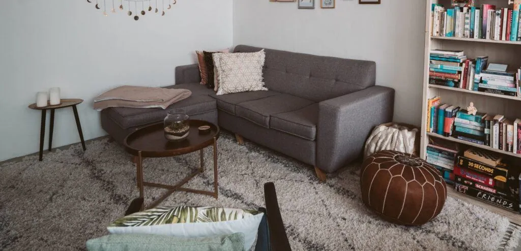 Carpet Cleaning Guide
