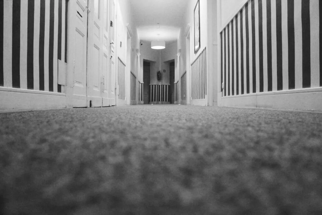 Carpet odour removal treatment being applied to eliminate smells.