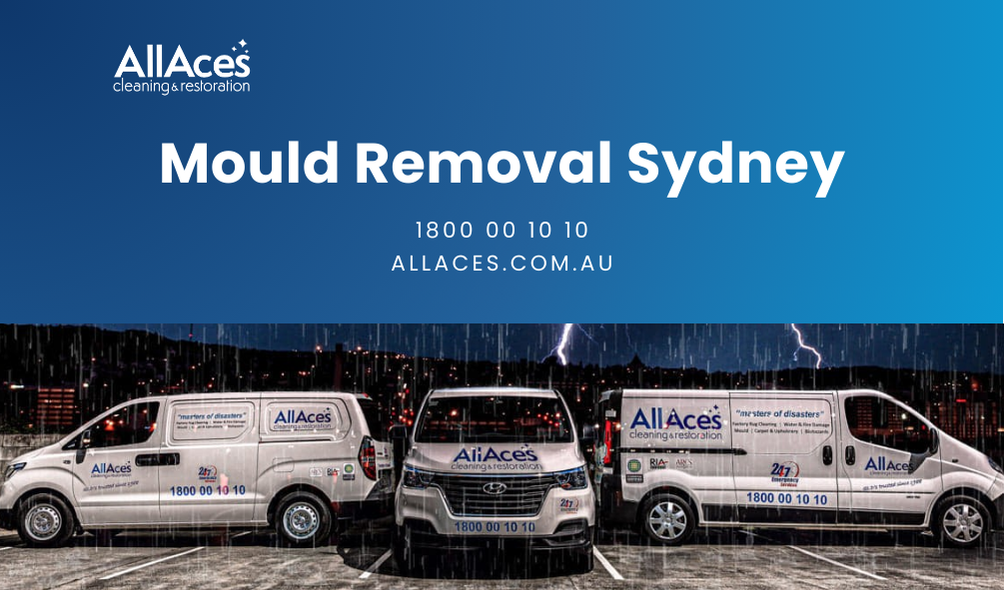 Sydney Mould Removal Services AllAces Cleaning & Restoration