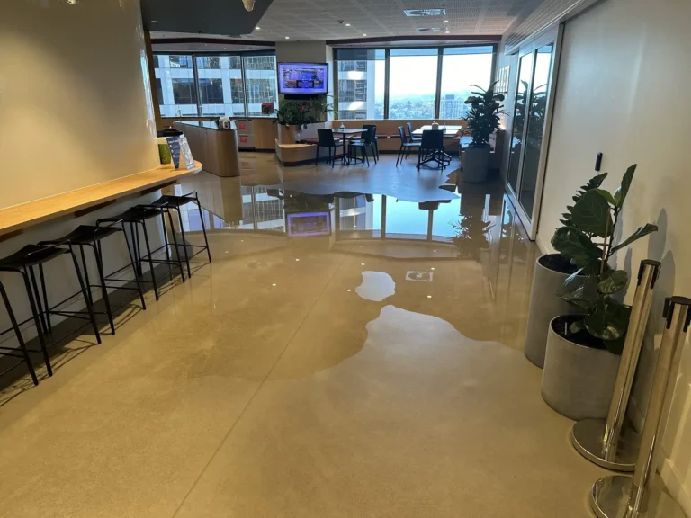 AllAces Office Water Damage Restoration