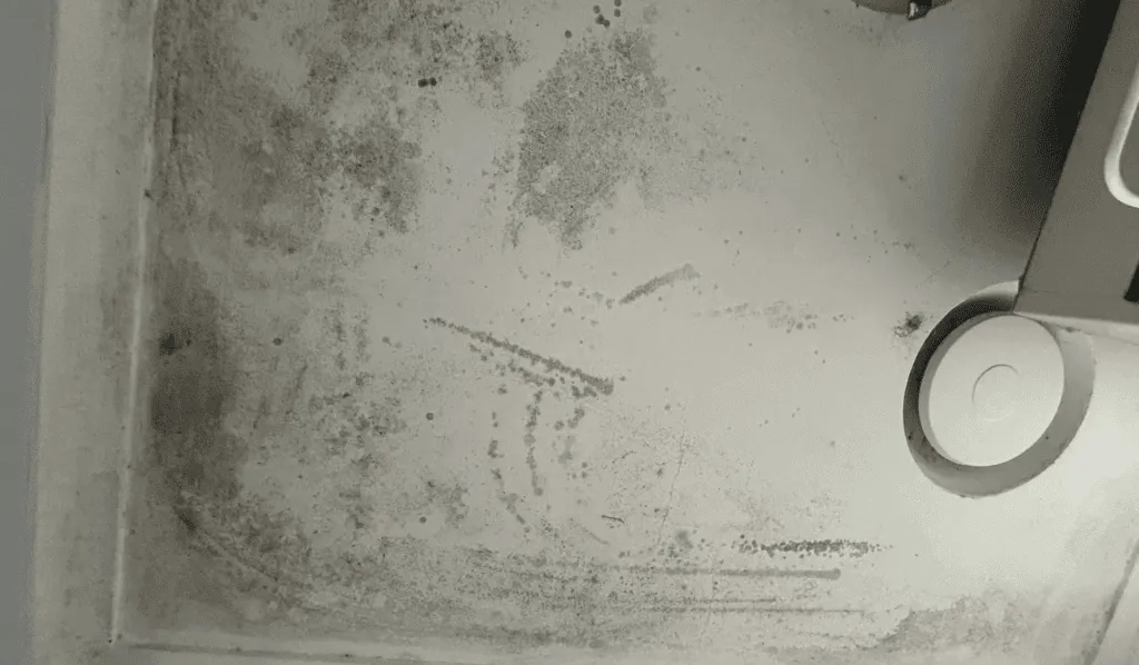 Mould inspection being carried out before treatment begins.