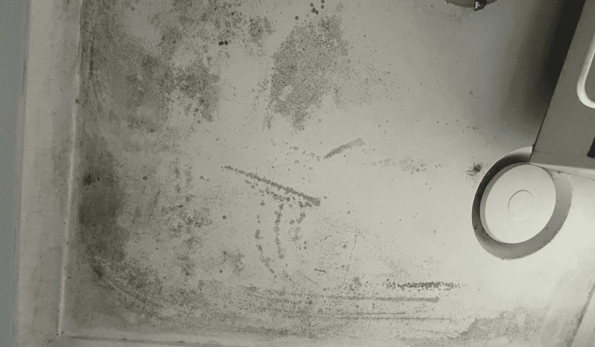AllAces Mould Inspection before 1c