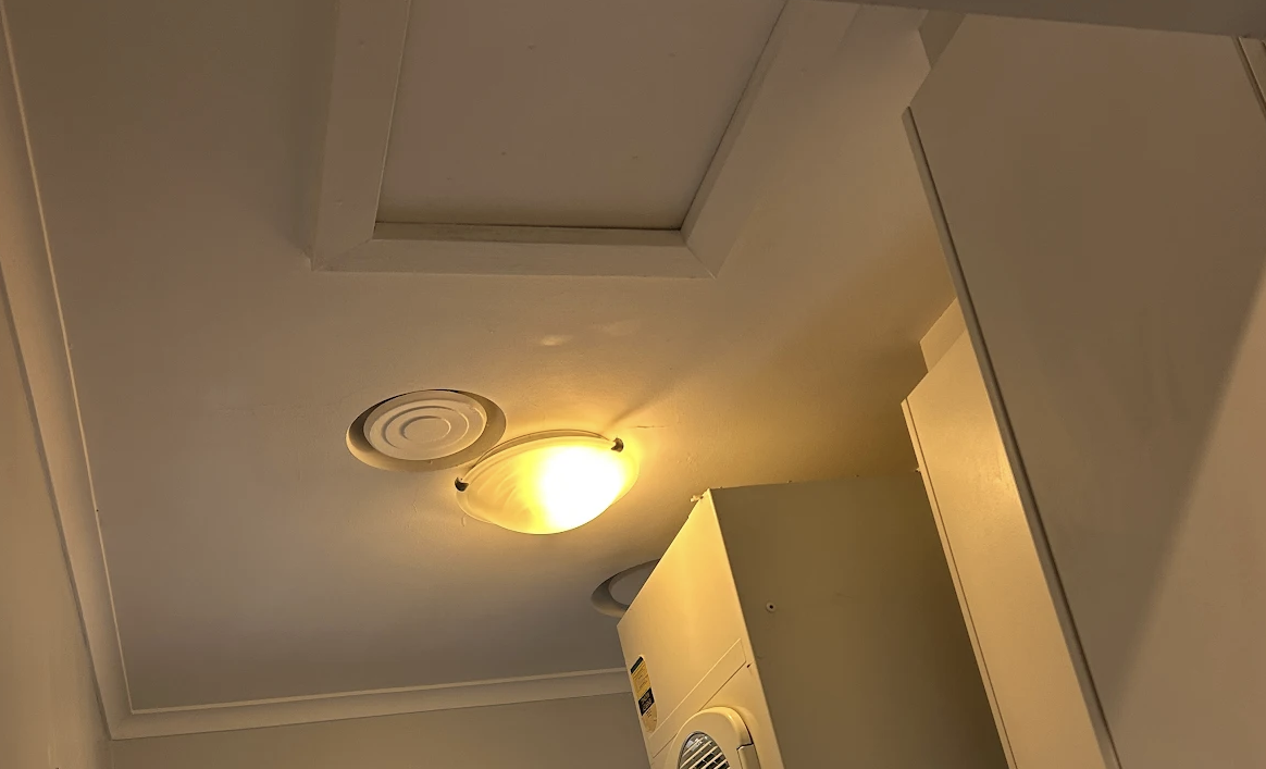 Mould Inspection after 2