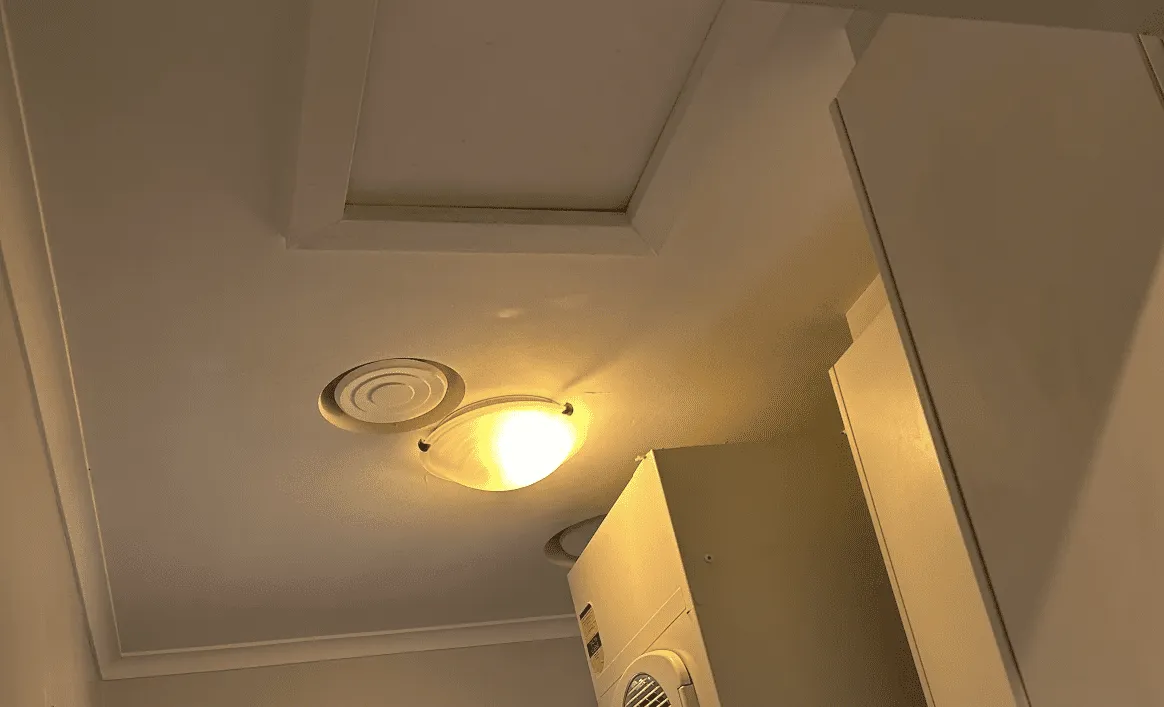 Mould Inspection after 2