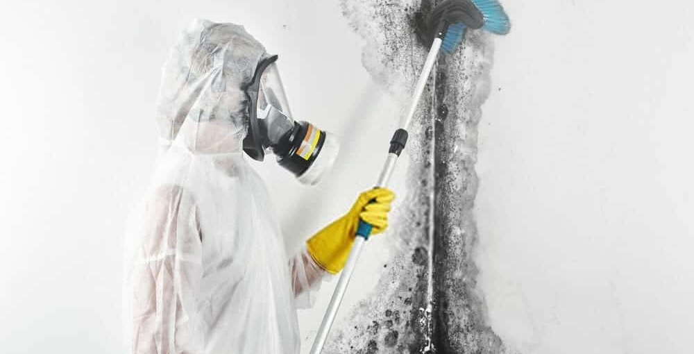 DIY Mould Removal vs. Professional Remediation: Which Is Right for You? 1 Mould Remediation Brisbane copy