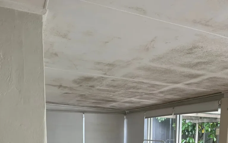 Mould Removal Services by AllAces Cleaning & Restoration