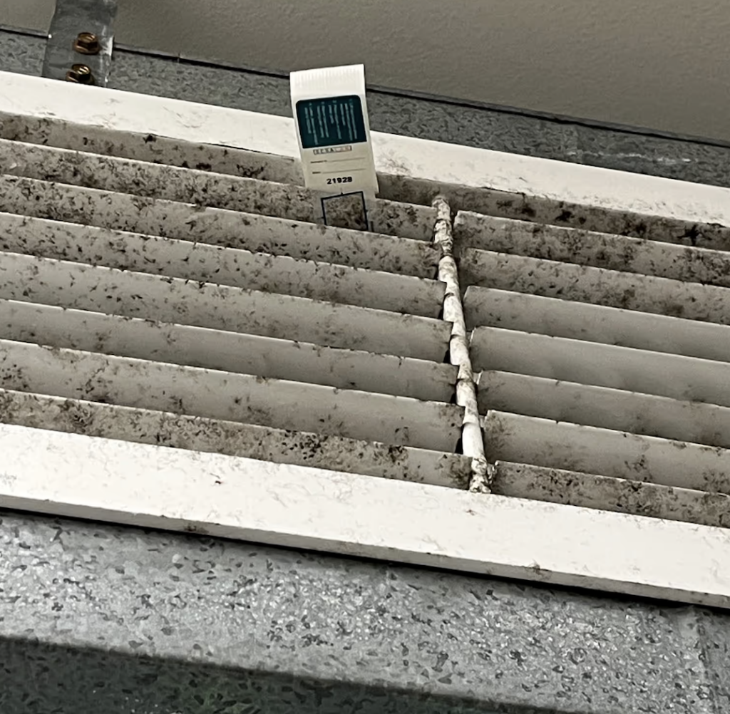 Severe fungal contamination and thick mould growth coating a university HVAC ventilation shaft prior to mould removal