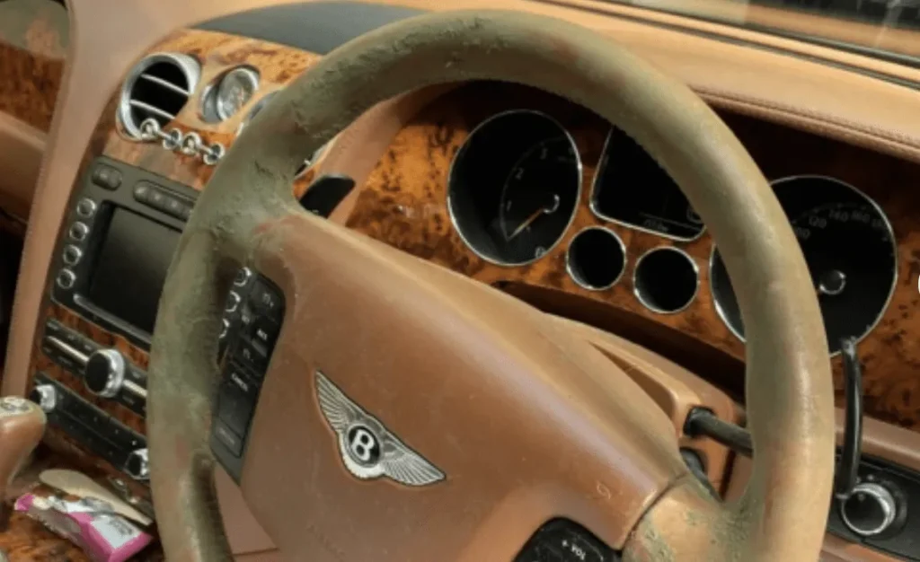Vehicle Decontamination Services
