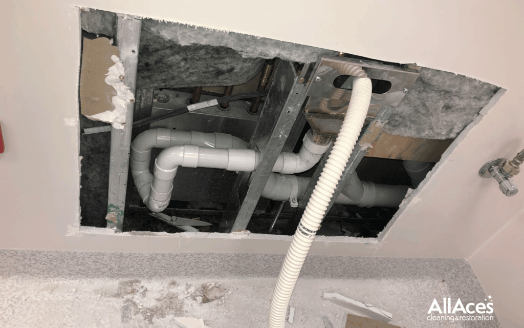 Biohazard Cleaning Secrets: What DIYers Don’t Realize About Safety and Compliance 2 AllAces Biohazard Decontamination.png Blog 2