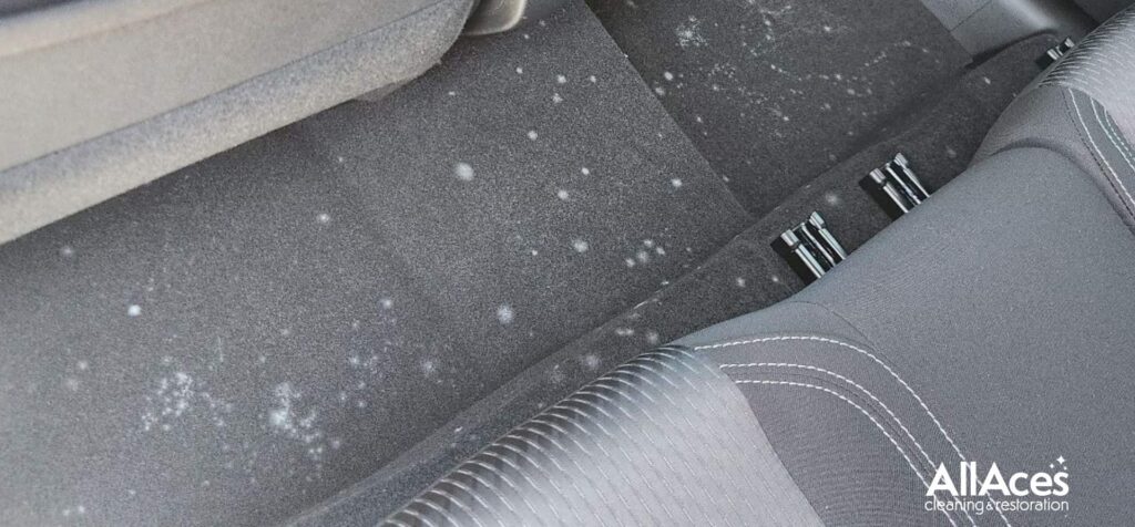 AllAces Car Decontamination Service Image 2 dec 8 copy