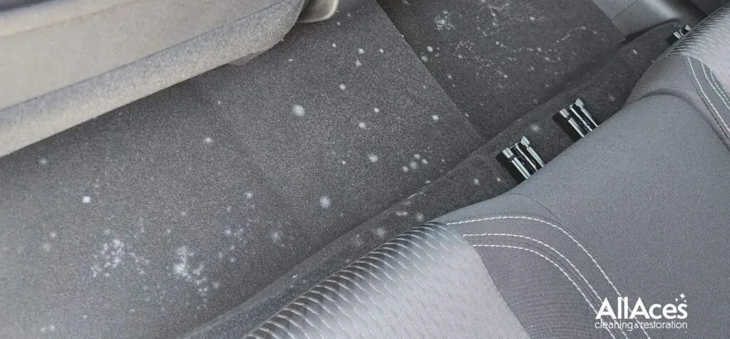 Car interior after an AllAces decontamination service.