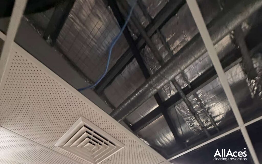 AllAces Oudour Removal Service Image 1 Dec 8