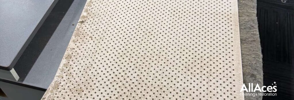 AllAces Oudour Removal Service Image 2 Dec 8 copy.jpg