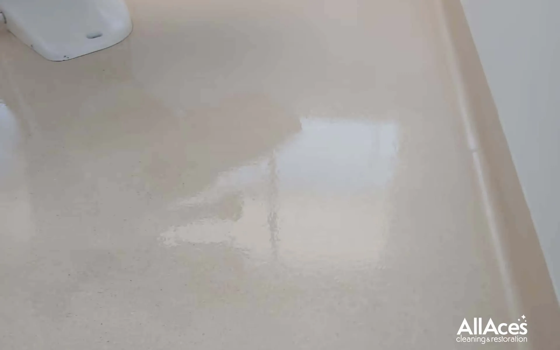 Vinyl Floor Strip and Seal Cleaning Services Australia (NSW, VIC, QLD)