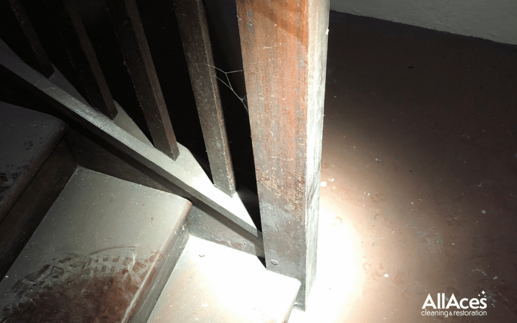 Mould Removal in Australian homes 1