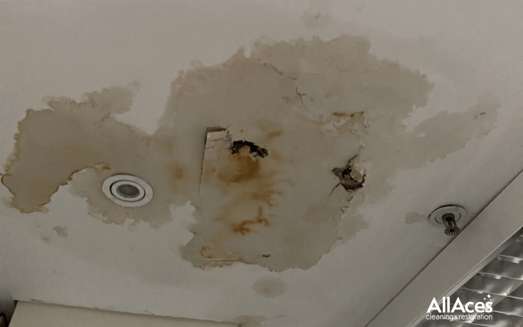 AllAces Professional Water Damage Restoration Services