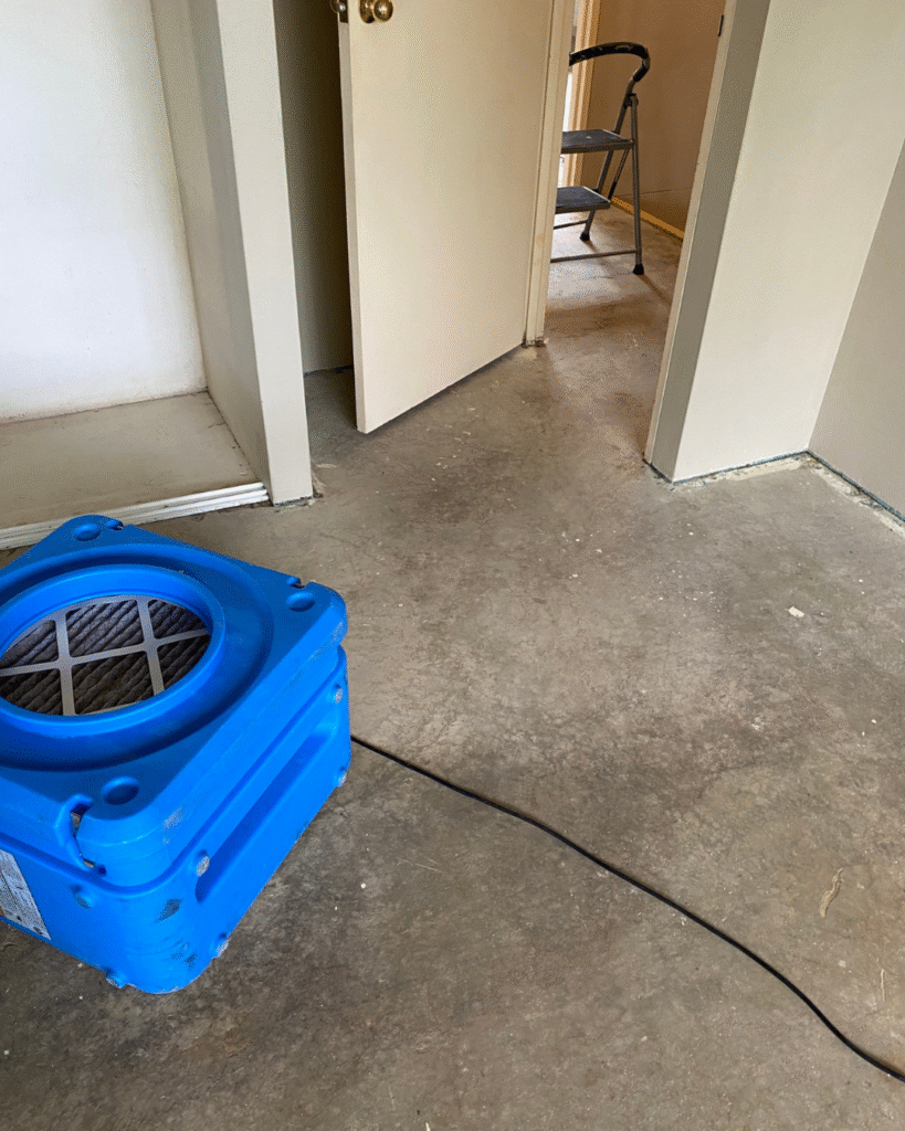 Mould Removal Before Winter Hits