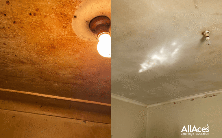 IICRC-certified professional performed odour removal in a Sydney home using advanced equipment to eliminate cigarette and household smells. It shows before and after.