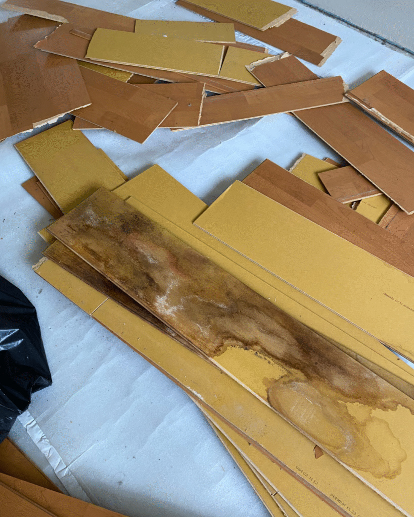 Mould Removal Before Winter Hits