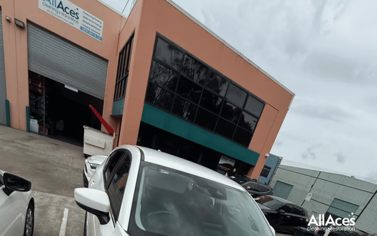 Professional vehicle odour removal by IICRC-certified technicians for clean and safe car interiors