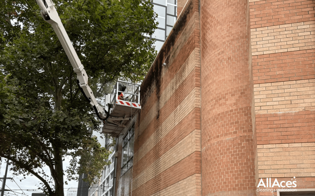 Top Sydney Suburbs That Require Regular Commercial Pressure Cleaning (And Why) 1 AllAces Commercial Pressure Washing Service Sydney 1