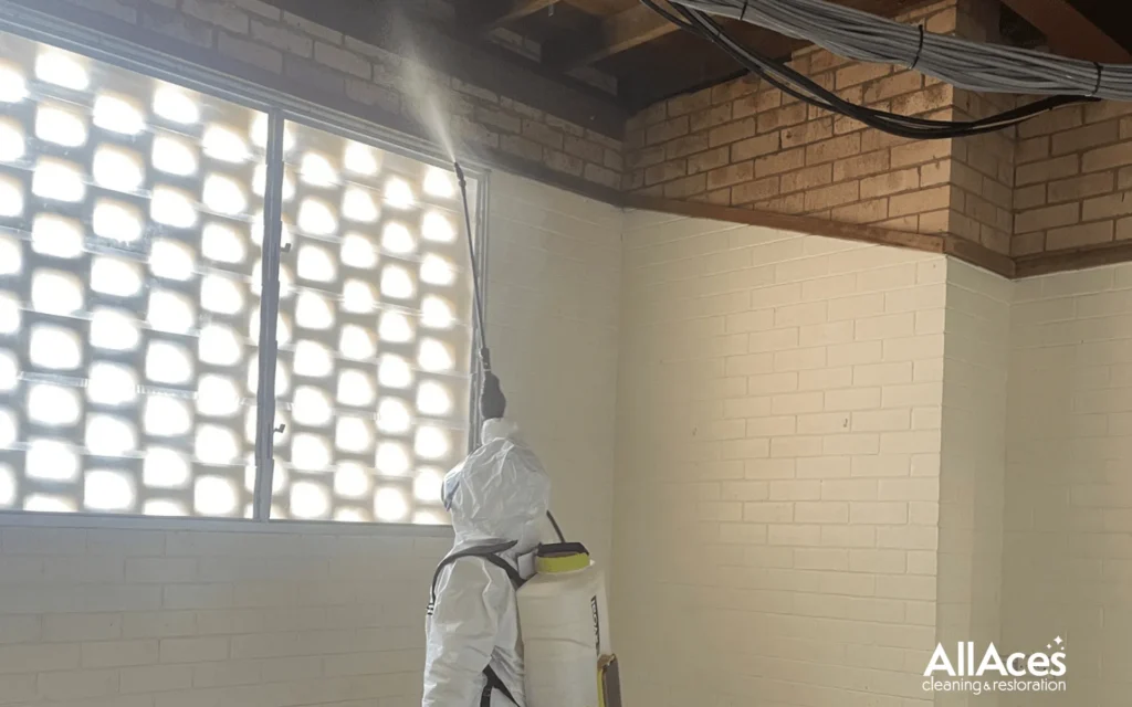 AllAces Mould testing and removal in Sydney blog 2