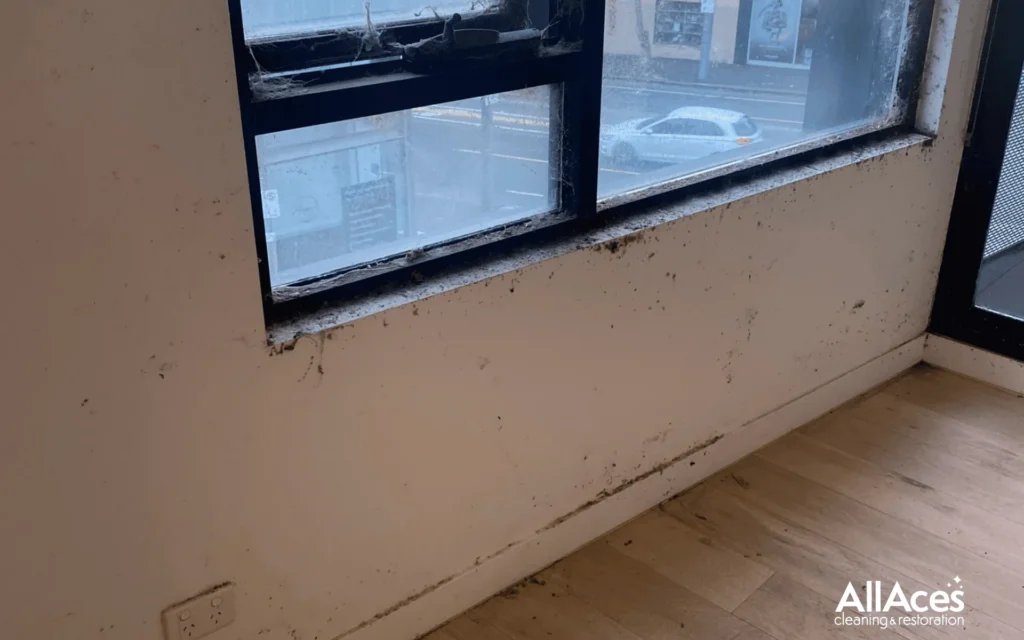 Expert Odour Removal Service for Stubborn and Persistent Odours 1 Odour Removal Service AllAces Completed projects