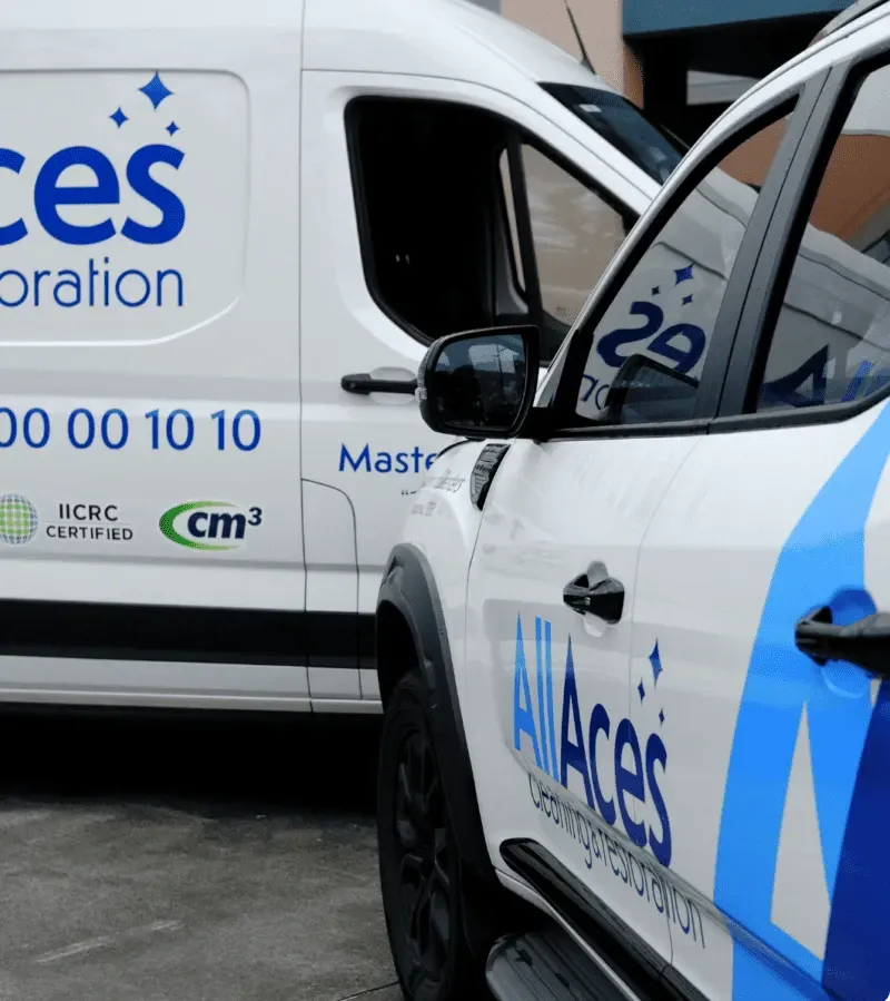 AllAces Fleet e1775708217805