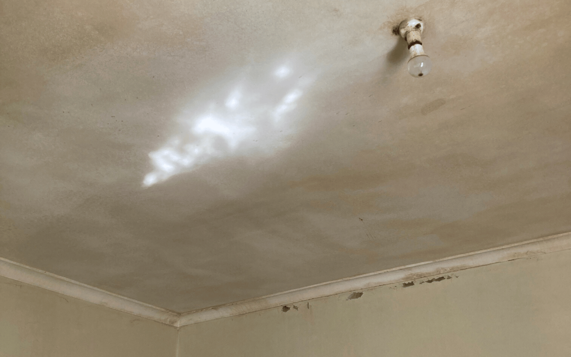 Cleaned ceiling after professional odour removal and smoke stain remediation by AllAces.