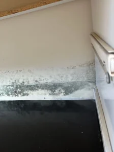 Mould Removal & Remediation Services | Ballarat 1 AllAces technician performing mould removal and remediation services Ballarat.