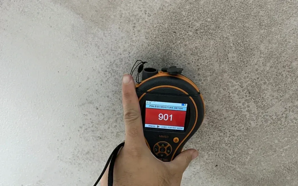 Technician testing wall moisture for mould removal in Ballarat using a Protimeter MMS3 meter