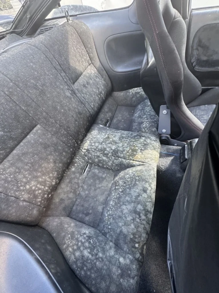 Mouldy car seat requiring vehicle decontamination Ballarat service