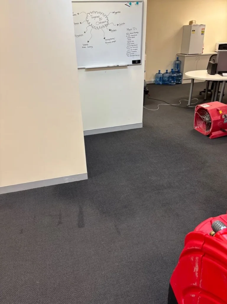 Commercial water damage restoration in Sydney featuring air movers drying water-damaged office carpet.