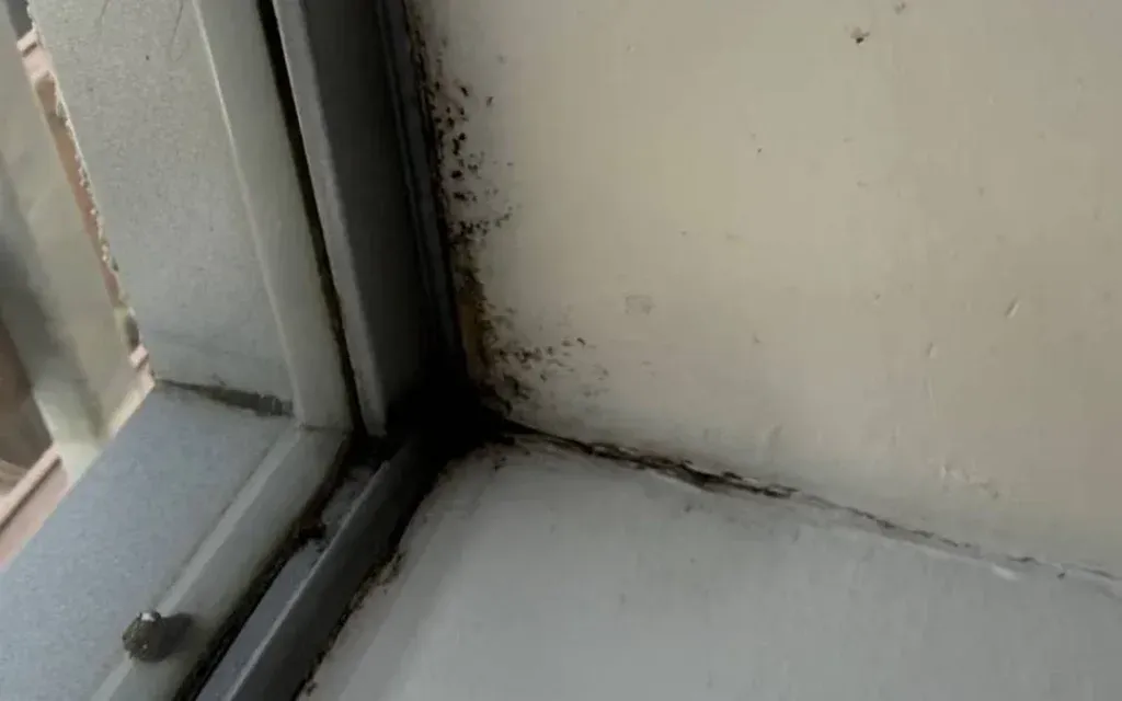 Mould in the roof forming