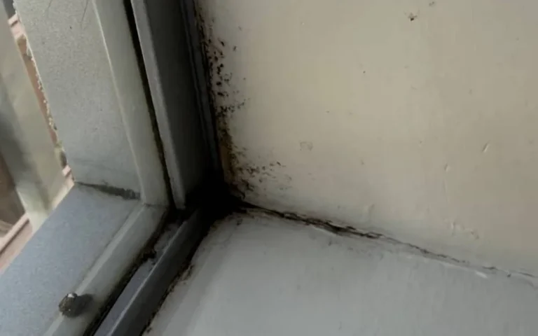 Mould in the roof forming